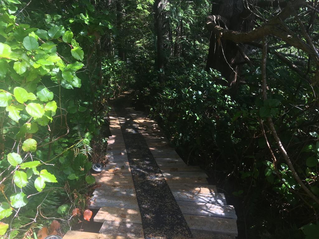 Tofino Stormbay Guest House Εξωτερικό φωτογραφία